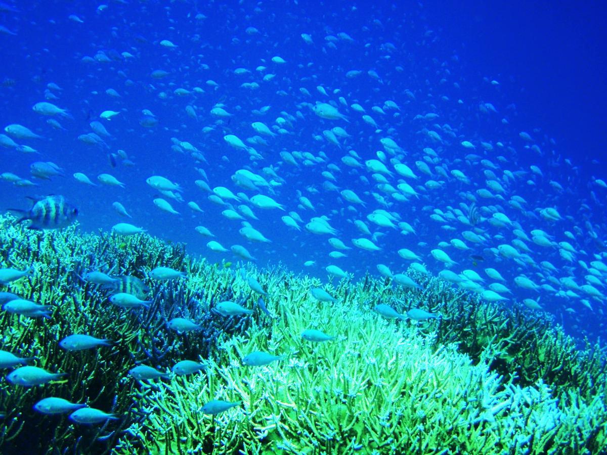 Hotel Seven Colors Ishigakijima Ishigaki  Exteriér fotografie